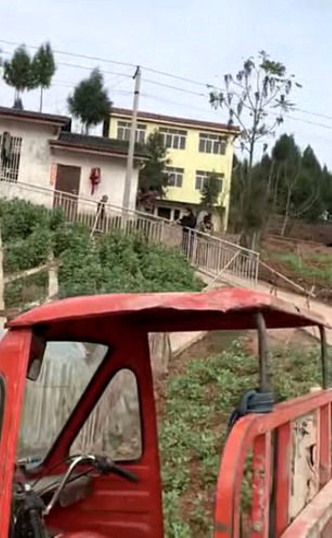 Ev heyvanları belə öldürülür - Polis tərəfindən (FOTOLAR)